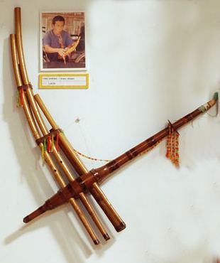 A Hmong qeej, a free-reed mouth organ, displayed on a wall